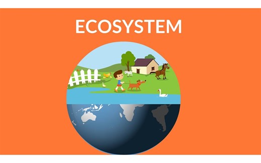 What is an ecosystem ｜ Ecosystem video for kids ｜ Ecosystem Types ｜