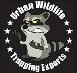 Riverside County Wildlife Removal & Humane Animal Control | Urban Wildlife Trapping Experts