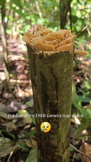 Day in the life of a land owner in nature