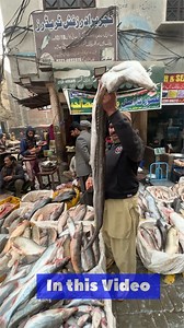 684K views · 6.7K reactions | Gaint Fish and Prices, Fish Market 2024 | Haris and Momin | Facebook