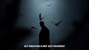 “The Great Pintail Migration — A Journey Across Continents. | Duck Hunting Marvellous