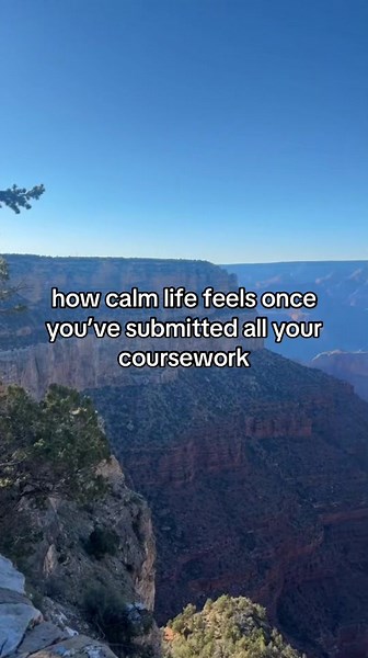 especially cause I basically know what grades I’ll get since I used revisiondojo’s coursework feedback ✌🏻✌🏻 #fyp #studytok #revisiondojo #ibstudent #ib