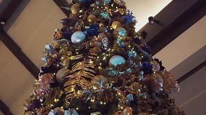 8.5K views · 213 reactions | Dusit Thani Mactan Cebu on Reels | Facebook