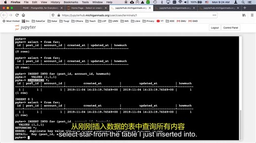 🚀【高质量中英双语字幕】🌐 适合所有人的PostgreSQL课程 💻 | 中文配音 🎙️ 🎬
