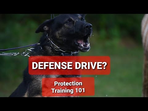 How to use Defensive Aggression in Protection Training and more