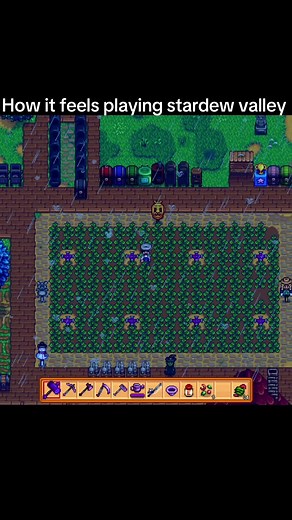 Experiencing Stardew Valley Gameplay