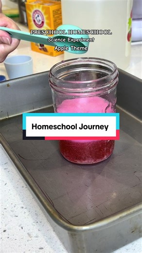 This was a simple and fun science experiment we did this week for our Apple theme! A few questions that I asked: Do the seeds sink or float? What do you think will happen when we add the vinegar? What ingredients did we mix to make the chemical reaction? How many seeds are there. Let me know if you try with your kiddos! #preschoolhomeschool #preschoolactivities #homeschoolpreschool #appleunitstudy #preschoolfallactivities