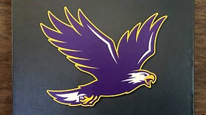 Elmira College introduces more fierce eagle as new logo