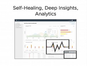 The Case for Self-Healing Networks