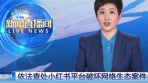 从严处理责任人！小红书平台因破坏网络生态被约谈警告