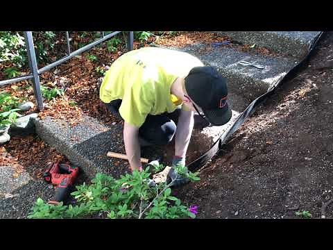 Lawn restoration part 2. Installing Suncast dig-in landscape edge