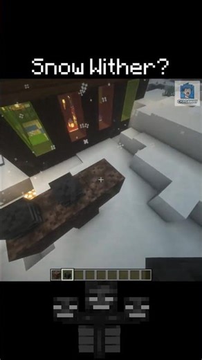 Can You Spawn the Wither in a Snow Biome? ❄️💀 #shorts