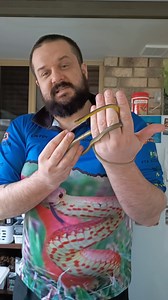 Snake Hiding Behind Painting! Justin headed out to investigate what was hiding behind this beautiful painting and he quickly discovered a Common Tree Snake! What a beautiful species! | Sunshine Coast Snake Catchers 24/7