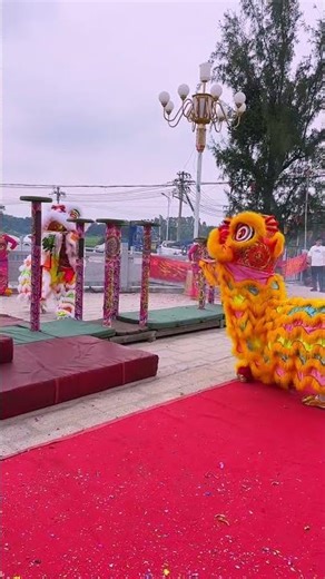 acrobatic dance show