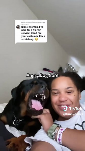 Funny Moments with Dogs