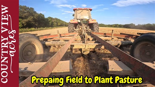 Discing Field Preparing to Plant Permanent Pasture Buy T-Shirts and Hoodies on Our Website: https://www.countryviewacreshomestead.com Our Amazon Shop full of great Homesteading items: https://www.amazon.com/shop/countryviewacres TYM Tractors: https://tym.world/en-us/ The Tractors we use are the TYM 2515 - 24 Horsepower compact tractor TYM T654 - 67 horsepower compact utility Tractor J.I. Case 730 (1961) Allis Chalmers D17 Series 1 (1959) E-mail us at: countryviewacreshomestead@gmail.com Send Let