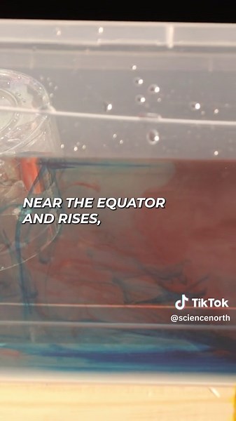 🌍🌊 Climate change is reshaping our world, and ocean currents are no exception! 🐋 Did you know ocean currents are critical in regulating our planet's climate? They act like nature's circulatory system, distributing heat across the globe. 🌡️ But as temperatures rise due to climate change, these currents are undergoing dramatic shifts. Let’s dive into the world of ocean currents! 🤿 #ClimateChange #OceanCurrents #ClimateAction #ProtectOurOceans #ScienceTok