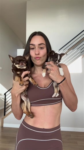 Can You Guess My Favorite Color?