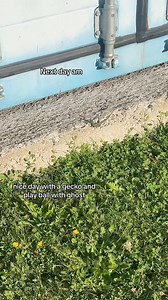 nails vlog!!!  #nailstudiovlog #vlog #nailvlog | Sarah's Nail Secrets | Facebook