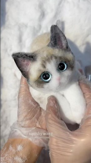 New look Ragdoll cat. #squishy #cat #cute #diy #handmade