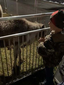 12 reactions | Medina County Fair on Reels | Facebook