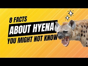 Facts About Hyena You Might Not Know