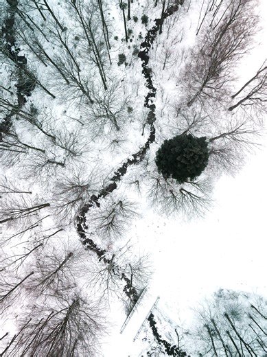 🧩 Jak być częścią przyrody, nie stając się jej ciężarem? 🌱 Harmonia z naturą to nie tylko podziwianie widoków, ale przede wszystkim świadome współistnienie. Jesteśmy gośćmi w wielkim ekosystemie, który budował się przez miliony lat. Doceniać dziedzictwo przyrody to znaczy: ✨ Zostawiać tylko odciski stóp, zabierać wspomnienia. ✨ Obserwować zwierzęta z bezpiecznego dystansu, nie ingerując w ich rytm. ✨ Rozumieć, że każdy kamień, liść i strumień jest częścią większej całości. Prawdziwe funkcjonow