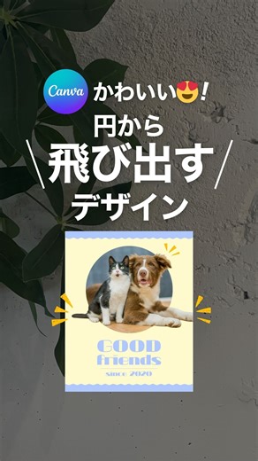 つばさ｜デザインのきほん｜講師 on Instagram: "ためになったら🔥スタンプください👀 フォローしてデザインを学ぶ 👉@tsubasa_designer ﹏﹏﹏﹏﹏﹏﹏﹏ ＼何これ！可愛い😍／ 円から飛び出すデザイン✨ Canvaを使って、簡単に目に留まるデザインを紹介します！ ①使いたい画像を丸のフレームに入れる ②同じ画像をもう一枚用意して、背景透過🫥 ③フレームに入れた画像に大きさを合わせてぴったり重ねる これだけで可愛くてインパクトのある加工ができます♩ 上手く作るコツは動画で紹介しているから いつも似たようなデザインになっちゃう人は 保存してぜひ試してみてね❤️‍🔥 参考になったらいいね・コメントくださると嬉しいです🥰 ﹏﹏﹏﹏﹏﹏﹏ このアカウントは反応率がUPする 読まれる・伝わるデザインの基本を発信✨ つばさ｜デザイナー講師(鹿児島) \ 1分で【読まれるデザイン】学ぶ / ✴︎ 即マネ👍もうデザインで悩まない ✴︎反応率UP✨想いが伝わる方法 ✴︎ 歴10年｜制作6千件｜ ディレクター 🔰 デザイン学んでおうちで働く講座✨ 案件獲得率95%