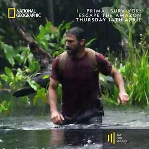 Join survivalist Hazen Audel as he faces his toughest ever challenge: fighting through 500 miles of unexplored rainforest using only traditional survival skills. Facing extreme climates, rattlesnakes, cowboys and more, will Hazen be able to escape the Amazon? Brand new season of Primal Survivor: Escape The Amazon, premieres Thursday 14th April at 9pm, on National Geographic UK. | National Geographic UK