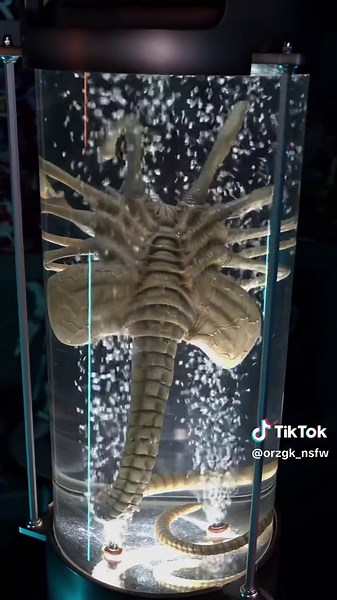 Facehugger 🔥 #facehugger #alien #movie #figure #orzgk