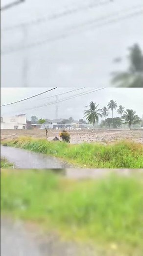 Heavy Rain & Powerful Thunder Sounds 🌧️⚡ Relaxing Night Ambience