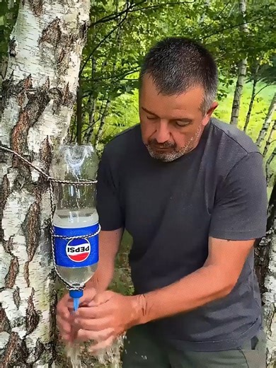 Amazing Camping Tricks for Outdoor Adventures