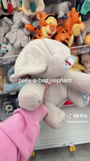 Best Developmental Baby Toys for 6-12 Months | Skill Building Fun