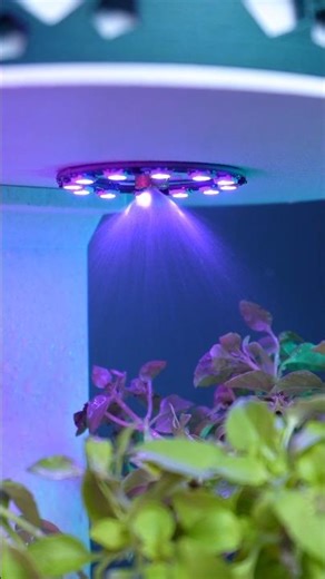 A Simple Idea and a 3D Printer #3dprinting #diy #bambulab #3dprint #diy #3dprinted @BambuLab