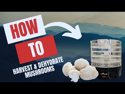 How to Harvest & Dehydrate Mushrooms with the Gro Magik 5 Level Dehydrator