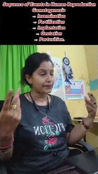 Human Reproduction। steps involved