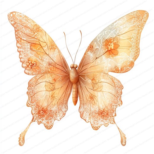 23 Lace Winged Butterfly Clipart | Delicate Handcrafted Design | Printable Watercolor Clipart | High Quality Jpgs | Paper Craft | Journal - Etsy