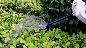 Watering Can for Indoor & Outdoor Plants, Plant Watering Can with Stainless Steel Shower Head, 1 Gallon Plastic Water Can for Garden, Flowers, Vegetable, Greenhouse (AlpineGreen)