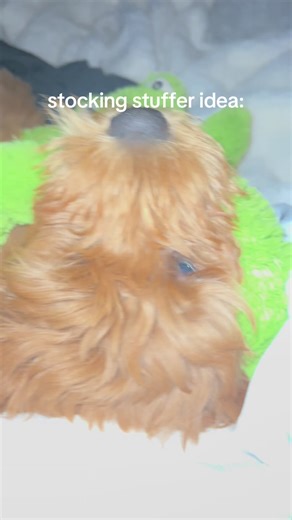 miss mabel mae (@miss.mabel.mae)’s videos with HOW ARE YOU EVEN REAL? - KAIDEN