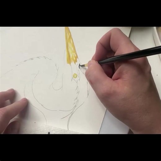 🎥🎨 Paint along with artist and brush maker, Willow Wolfe, and learn how to put the life in your wildlife watercolor paintings. 🚨 Watch the full workshop and other inspirational videos on our YouTube channel — 🔗 link in bio! #Watercolor #ArtistMaterials #PlazaArt #VirtualArtWorkshop #WildlifeArt