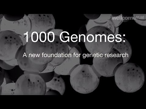 1000 Genomes: a new foundation for genetic research - Sanger Institute