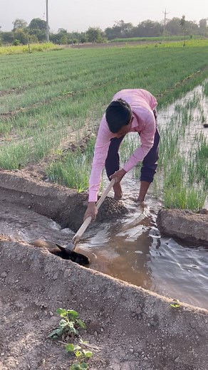 24M views · 420K reactions | Farmers life #farming | MR7 Digital | Facebook