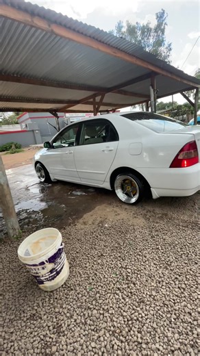 Understanding Stance Culture and Its Significance