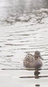 Looking for a fun and relaxing family getaway? Our exclusive B&B package is designed with families in mind, offering comfort, treats, and a little extra magic for the kids! | The Wyatt Hotel