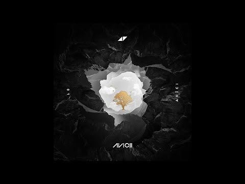 Avicii - Without You (Instrumental)