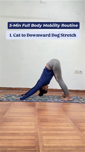 5-Minute Daily Full BODY Mobility Routine!