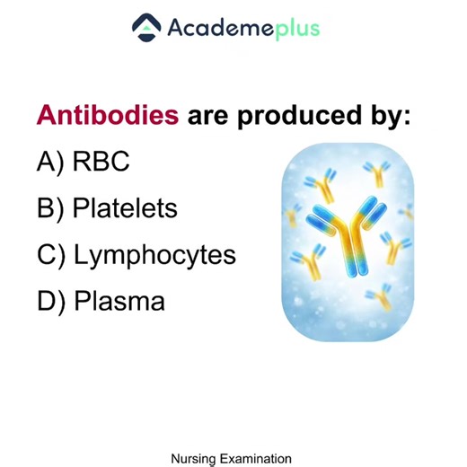 Quanipa Die🇳🇦 (@quanipadie)’s videos with Health Care - TimTaj