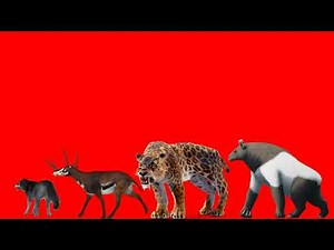 Cenozoic Creatures Size Comparison 1st Edition
