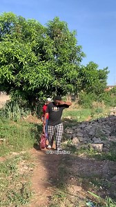 My Backup Guard | O is Ojustice