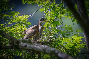 National Employment Savings Trust: Your Complete Guide